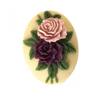 Cammeo Resina Colorful...